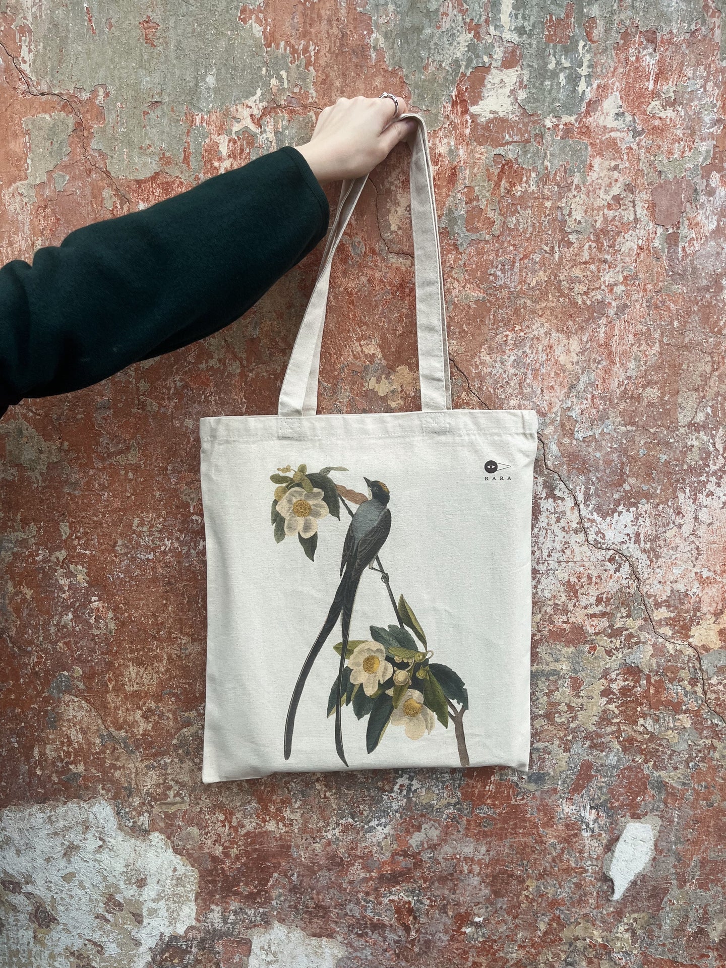 RARA Maišelis. Šakotauodegis karališkasis tironas