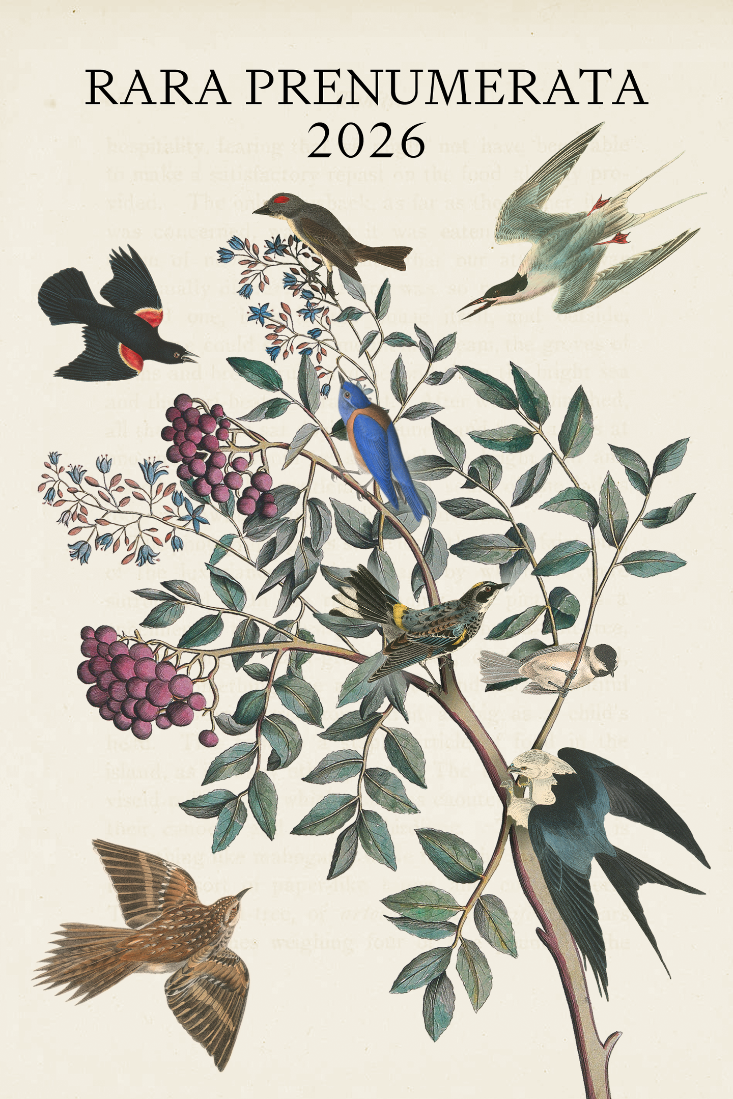 RARA prenumerata – Visos 2026