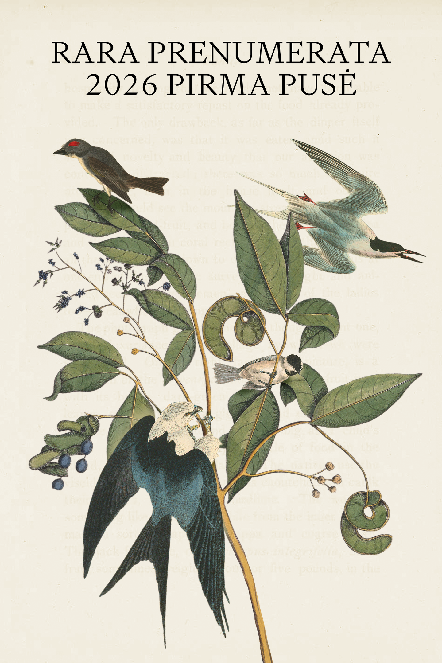 RARA prenumerata - Pirma pusė 2026